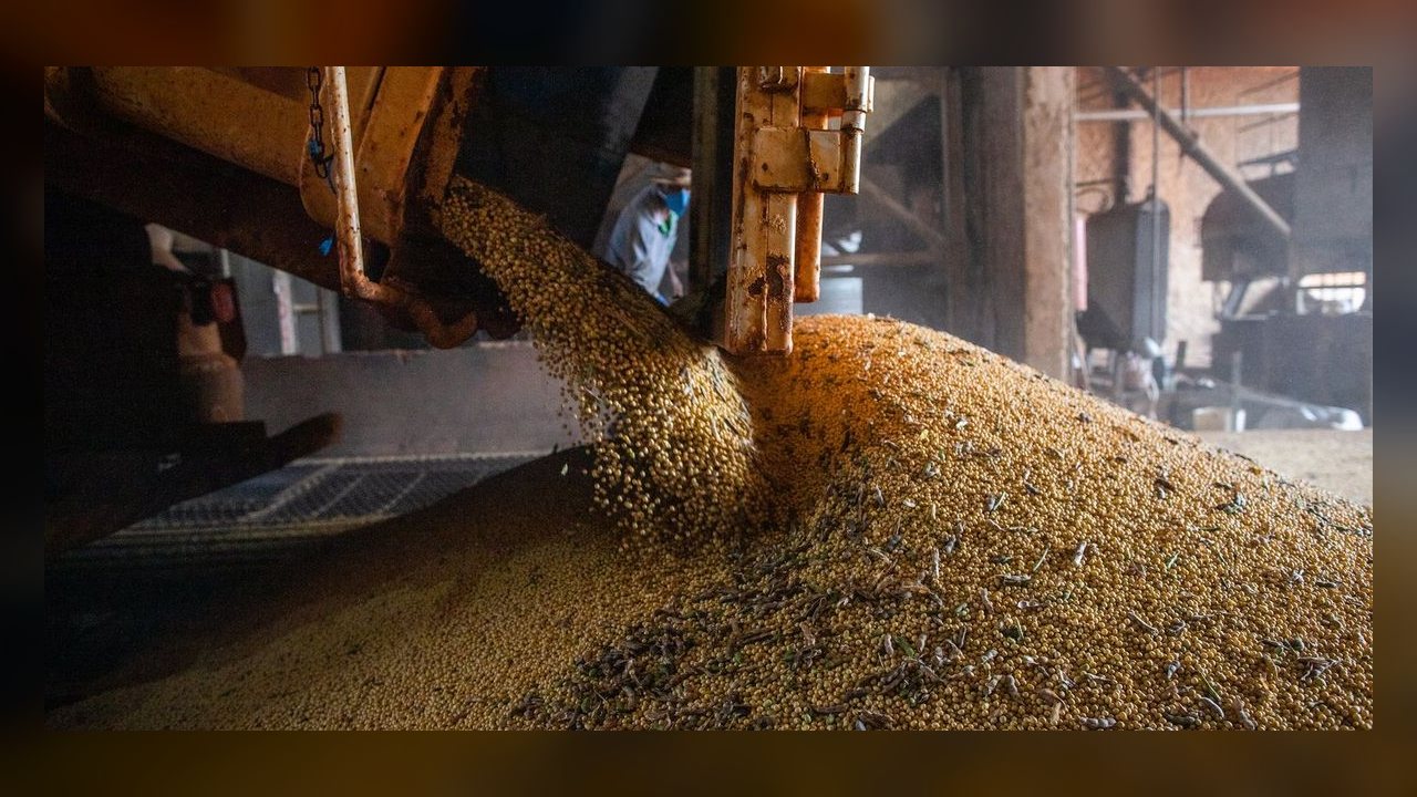 Conab projeta safra recorde de grãos de 367 milhões de toneladas mesmo com El Niño