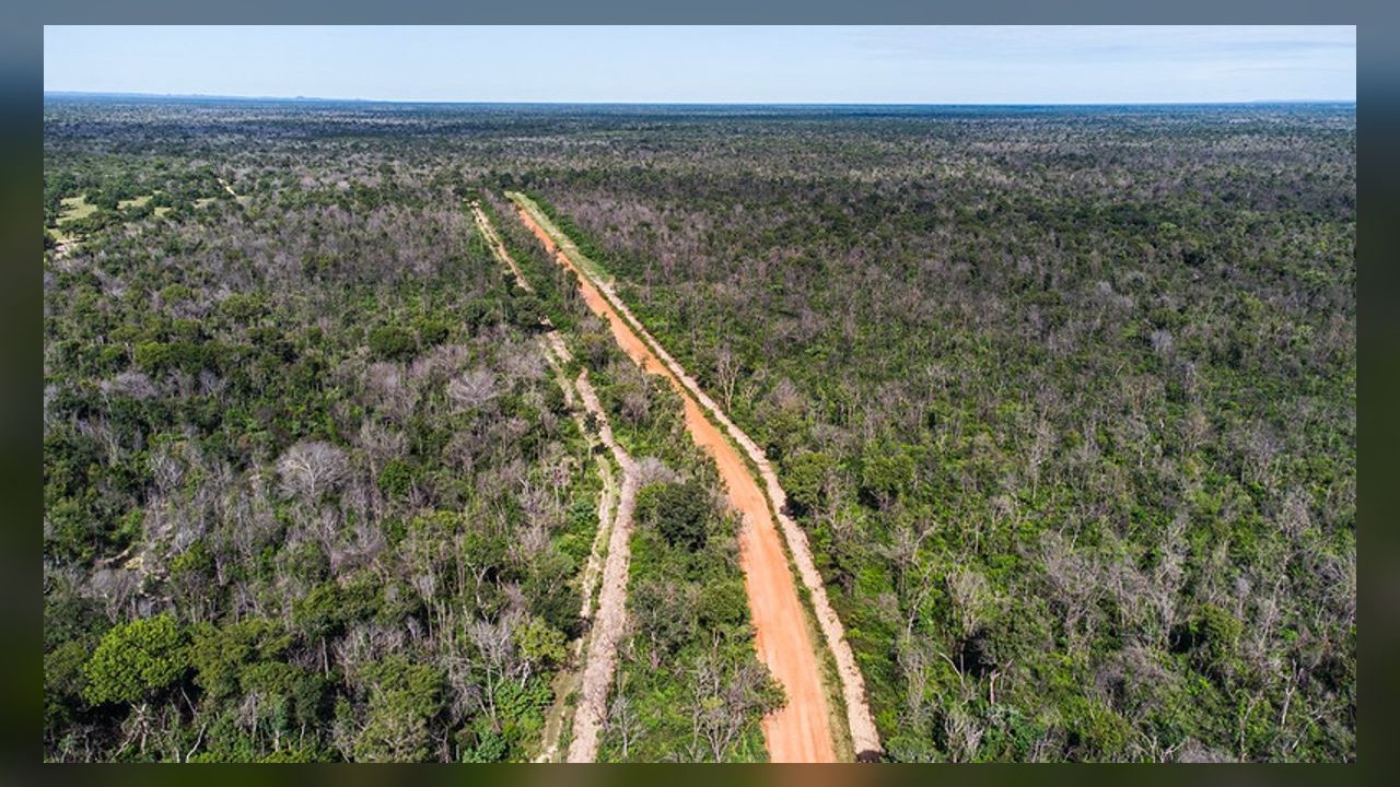 Nova norma detalha regras para aceiros contra incêndios no Pantanal de MT