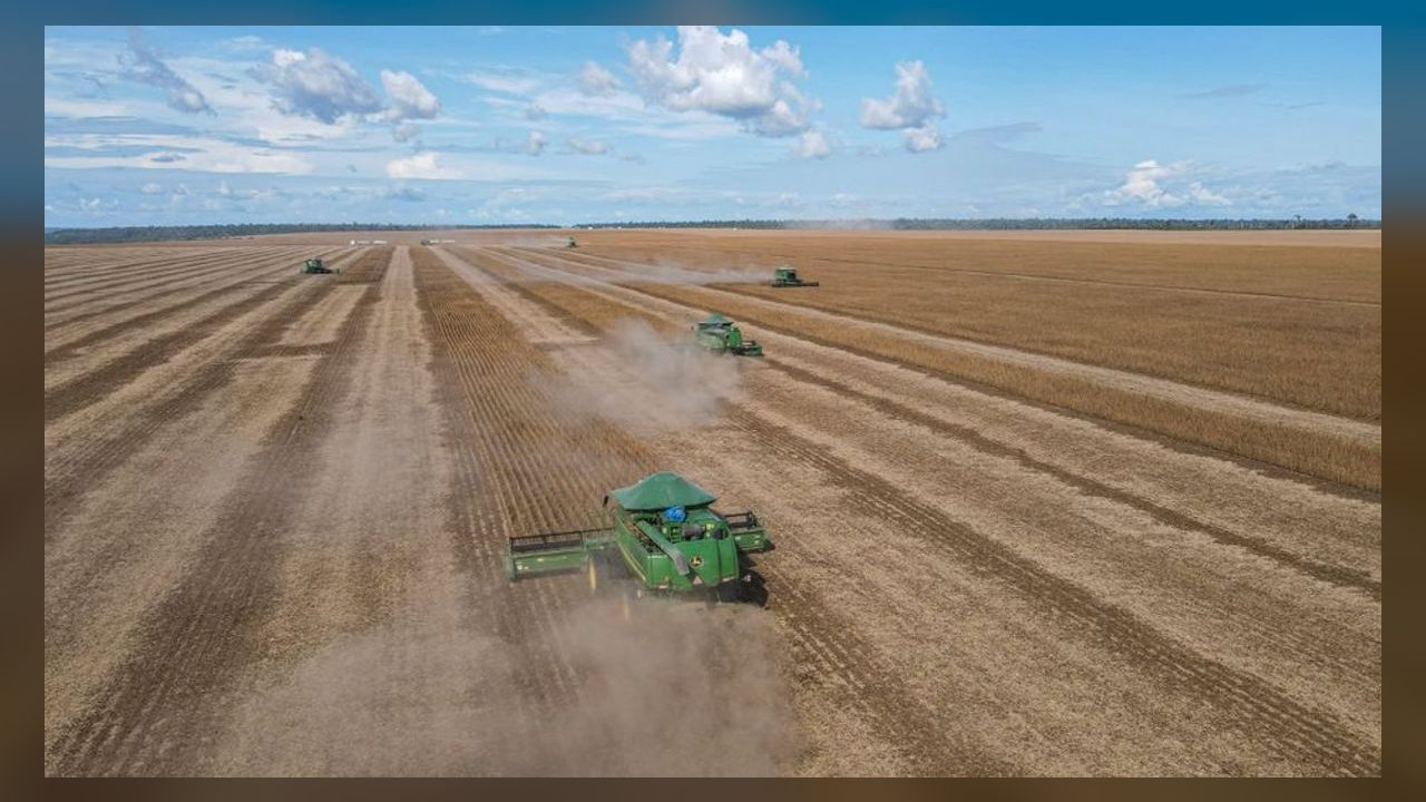 Apenas 6% da pauta exportadora de MT aos EUA é atingida pelo tarifaço, aponta Fiemt