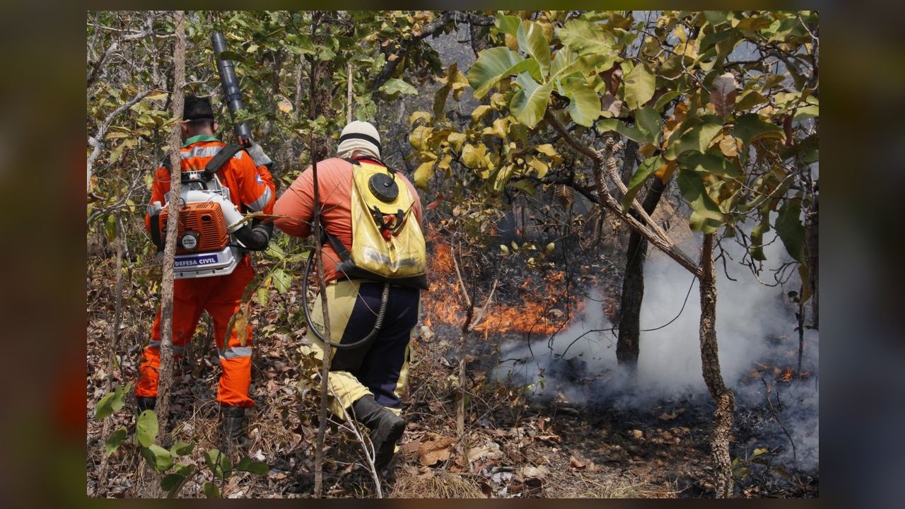 Incêndios em vegetação caem 6% em Cuiabá entre janeiro e agosto