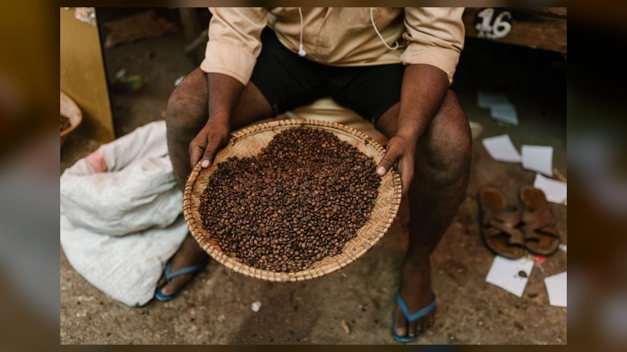 Café, carnes e frutas: veja a lista de produtos isentos do novo tarifaço dos EUA