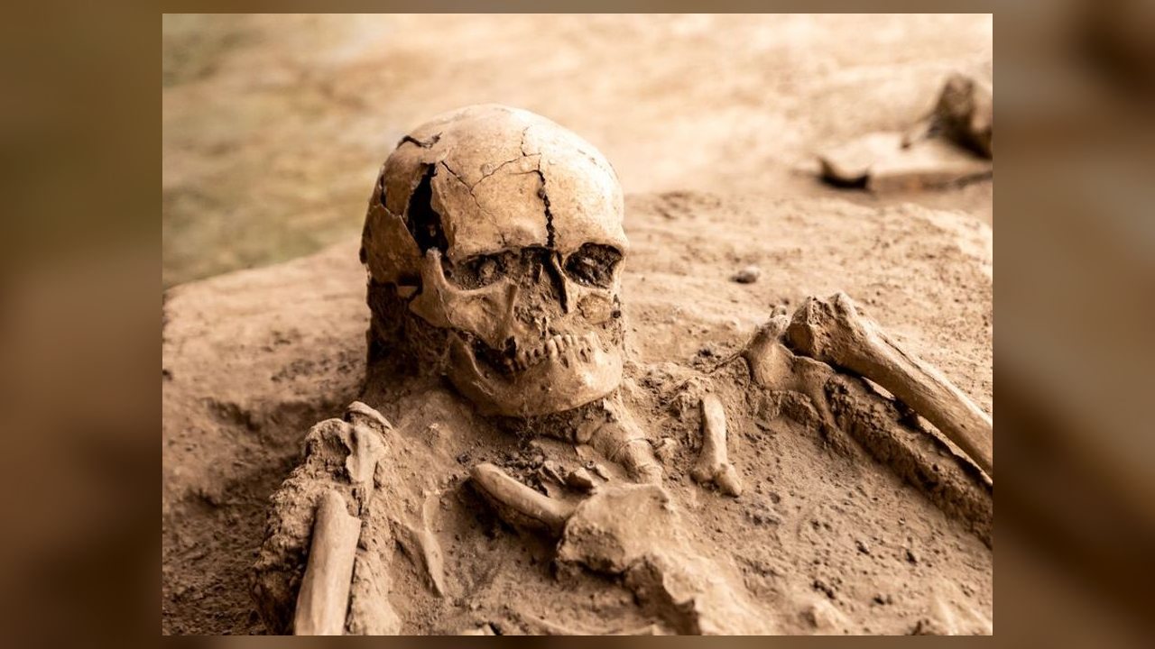 Esqueletos de rinocerontes com 200 mil anos são encontrados em caverna na Espanha